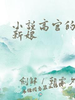 小说高官的暗夜新娘