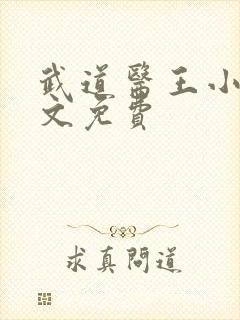 武道医王小说全文免费