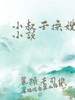 小叔子操嫂子的小说