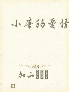 小唐的爱情史