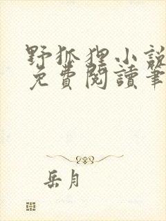 野狐狸小说全文免费阅读笔趣阁