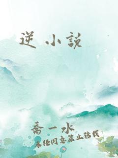 逆 小说