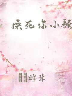 操死你小骚b