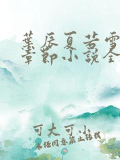 叶辰夏若雪最新章节小说全文免费阅读