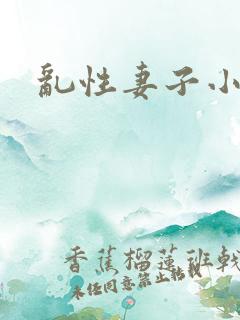 乱性妻子小说