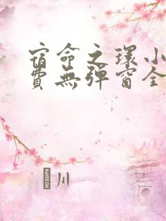 宿命之环小说免费无弹窗全集笔趣阁