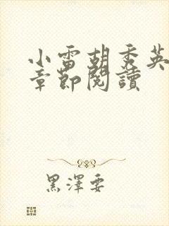 小雷胡秀英全部章节阅读