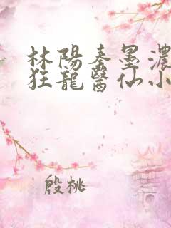 林阳秦墨浓都市狂龙医仙小说