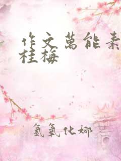 作文万能素材张桂梅