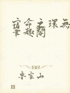 宿命之环无错字笔趣阁