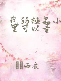 我的极品小姨哪里可以看