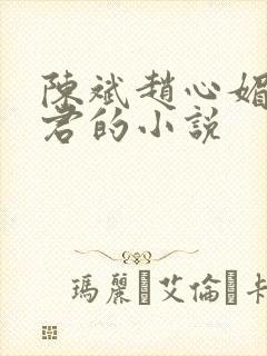 陈斌赵心媚高婉君的小说
