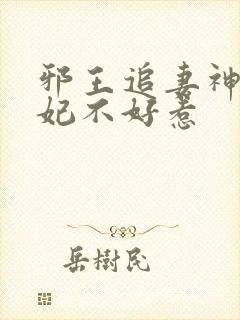 邪王追妻神医狂妃不好惹