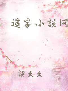 追客小说网