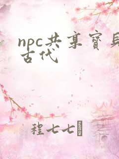 npc共享宝贝古代