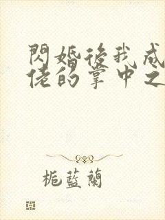 闪婚后我成了大佬的掌中之物未删减