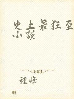 史上最狂至尊 小说