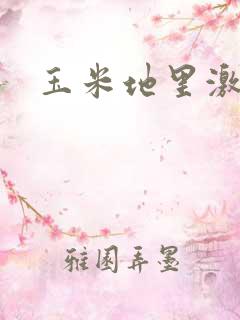 玉米地里激情