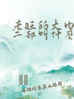 老旺的大肉蟒第二部叫什么小说