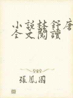小说林舒唐亦琛全文阅读