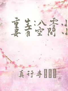重生:八零小娇妻有空间 小说