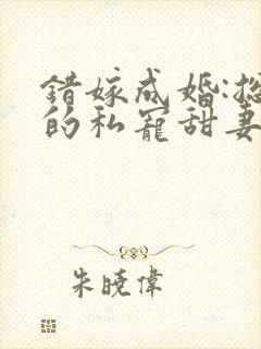 错嫁成婚:总裁的私宠甜妻