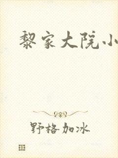 黎家大院小说