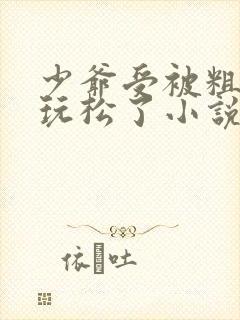 少爷受被粗汉H玩松了小说