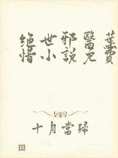 绝世邪医叶凡叶惜小说免费阅读无弹窗