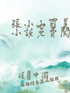 张小山罗美丽的小说免费阅读全文