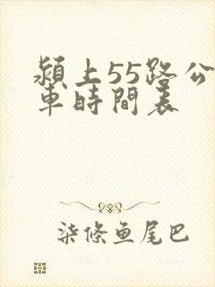 颍上55路公交车时间表