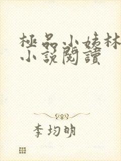 极品小姨林浩云小说阅读