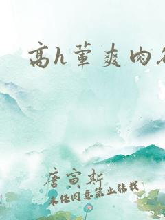 高h荤爽肉欲文