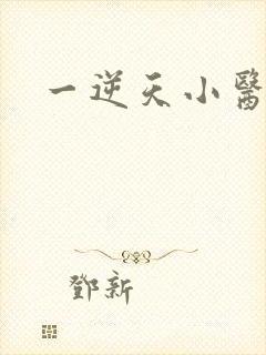 一逆天小医仙
