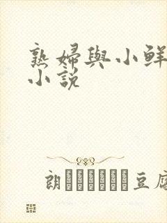 熟妇与小鲜肉的小说