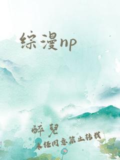 综漫np