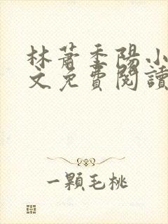 林萧季阳小说全文免费阅读