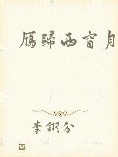 雁归西窗月小说