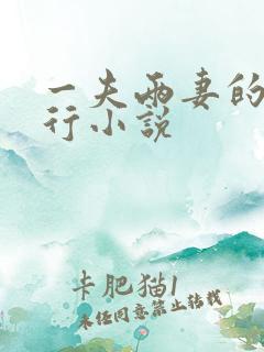 一夫两妻的三人行小说
