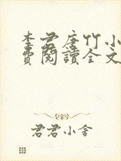 李君唐竹小说免费阅读全文无弹窗