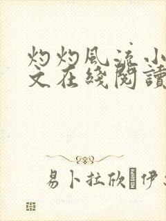 灼灼风流小说全文在线阅读