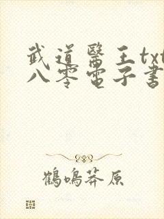 武道医王txt八零电子书