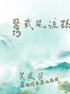 医武风流孙哲叶巧