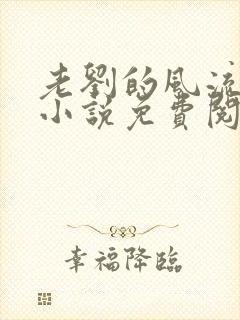 老刘的风流人生小说免费阅读