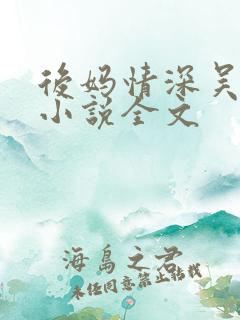 后妈情深吴天强小说全文