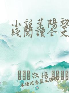 小说叶阳黎洁在线阅读全文免费