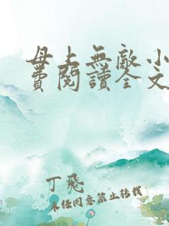母上无敌小说免费阅读全文最新章节
