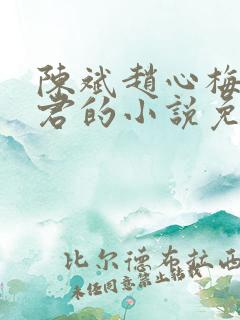 陈斌赵心梅高婉君的小说免费阅读