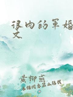 很肉的军婚甜宠文