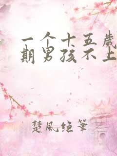 一个十五岁叛逆期男孩不上学该怎么办